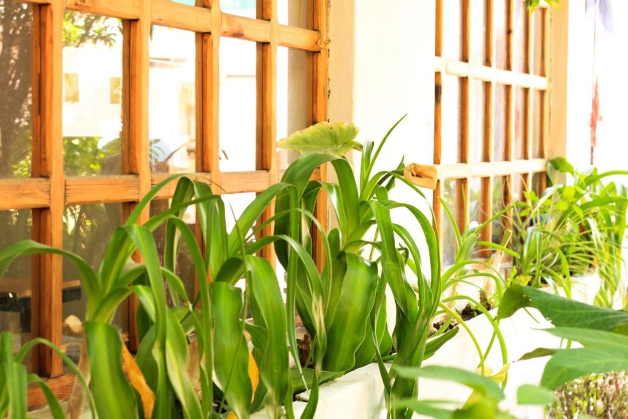 Albergue Fandango San Cristóbal de Las Casas Exterior foto