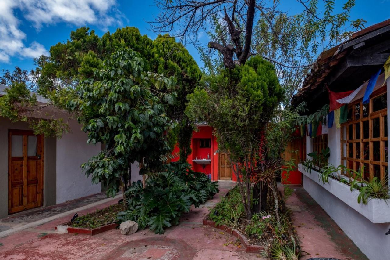 Albergue Fandango San Cristóbal de Las Casas Exterior foto
